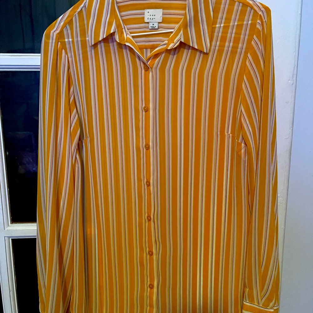 Beautiful Button Up Blouse in Gold Stripe